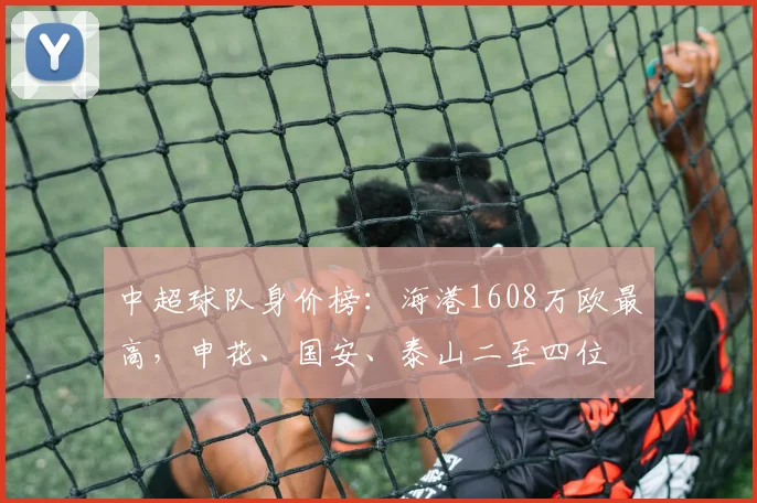 中超球队身价榜：海港1608万欧最高，申花、国安、泰山二至四位