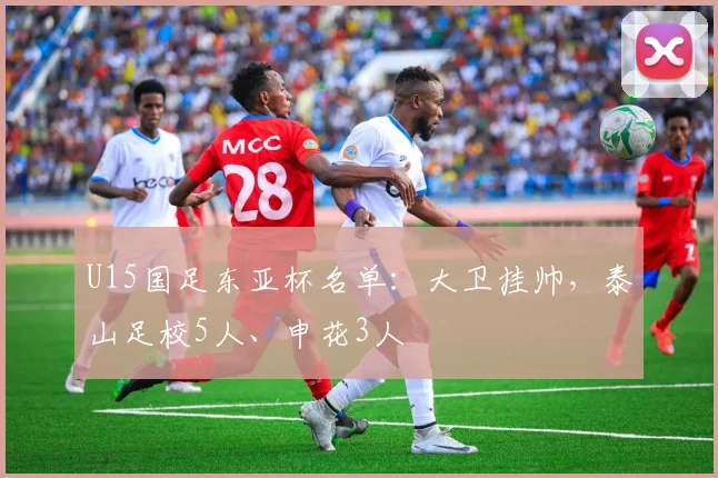 U15国足东亚杯名单：大卫挂帅，泰山足校5人、申花3人