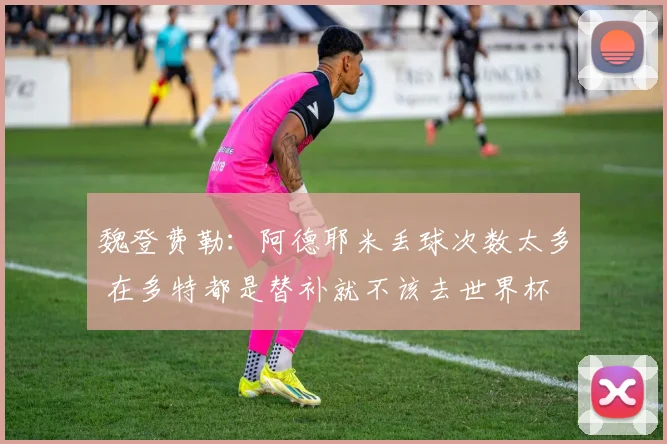 魏登费勒：阿德耶米丢球次数太多 在多特都是替补就不该去世界杯